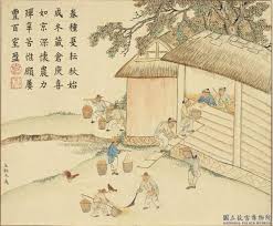 Image result for 春粒