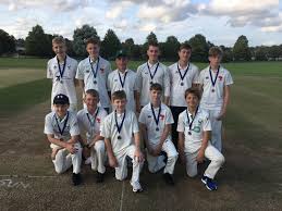 Image result for Henfield Cricket Club