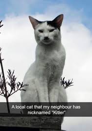 Image result for kitler