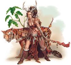 Image result for druid