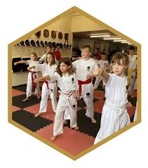 Image result for Phoenix Star Judo Club (Southwick)