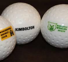 Image result for Winchester Hockey Club