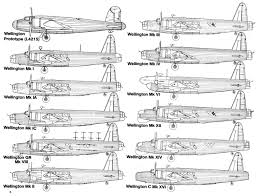 Image result for Wellington Whirlwinds Tc