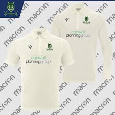 Image result for Ludgvan Cc