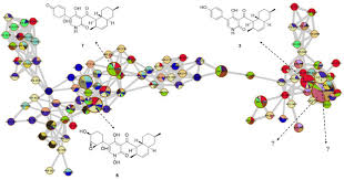 Attēlu rezultāti vaicājumam “Craterium sp.”