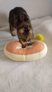 猫次郎에 대한 이미지 검색결과