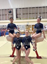 Image result for Bisley Village Gymnastics Club