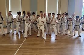 Image result for Soncho Karate Club