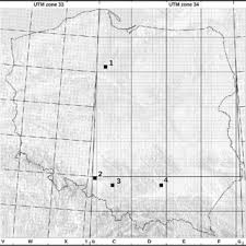 Attēlu rezultāti vaicājumam “Pemphigus borealis”