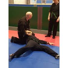 Image result for MIDDLESBROUGH KARATE ACADEMY