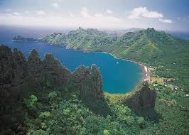 Attēlu rezultāti vaicājumam “Aranei exuvia”