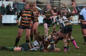 Image result for Wensleydale Rugby Union Football Club