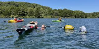 Image result for Bute Kayak Club