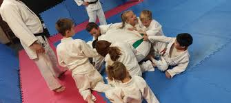 Image result for Rainham Judo Club