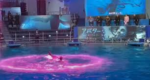 Image result for Dolphin Sub Aqua