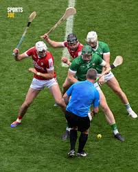 Image result for hurling