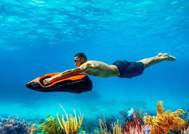 Image result for Seabug Divers