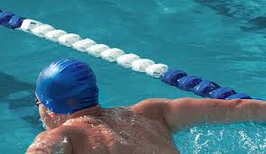 Image result for Haywards Heath Swimming Club
