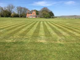 Image result for All Cannings Cricket Club