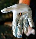 The Killing Cycle: Inside story of the Essex County homicide squad ...