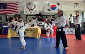Image result for moray coast tang soo do