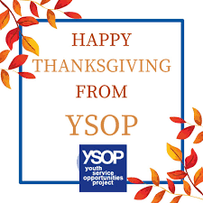 Image result for Ysop