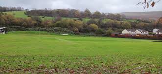 Image result for Hills Plymouth Cricket Club