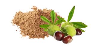 Attēlu rezultāti vaicājumam “Aesculus hippocastanum fruit”