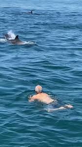 Image result for Ilfracombe Orcas Octopush Club