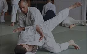 Image result for Southport Muto Aikido Club
