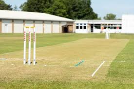 Image result for Glastonbury Cricket Club