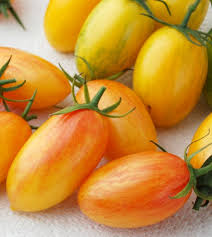 Afbeeldingsresultaat voor blushing yellow tomato