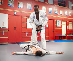 Image result for Derwent Jujitsu Academies