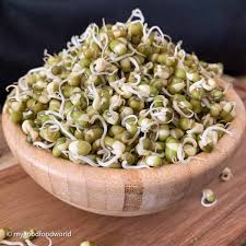 Image result for bean sprout