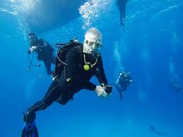 Image result for Cleveland Divers