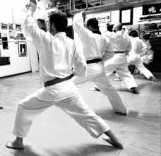 Image result for New Path Martial Arts Academy
