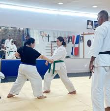 Image result for Ji Shin Do Karate