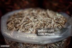 Attēlu rezultāti vaicājumam “Charales”