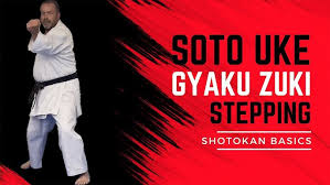 Image result for ZOKU SHOTOKAN KARATE (Baldock)