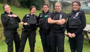 Image result for Newton Abbott Knights