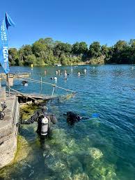 Image result for Kingston and Elmbridge Snorkellers
