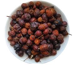 Attēlu rezultāti vaicājumam “Rosa majalis fruit”