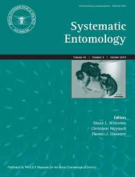 Attēlu rezultāti vaicājumam “Alloeotomus sp.”