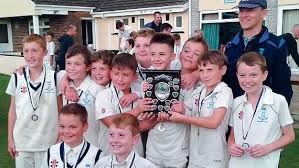 Image result for Narberth Cricket Club
