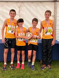 Image result for Hercules Wimbledon A C