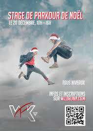 Image result for Les Voleurs Parkour Club
