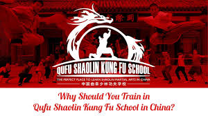 Image result for Shaolin Ancestors kung Fu School