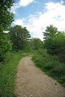 Dog Dirt Path, Broaks Wood - via Daymix