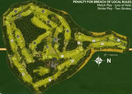 Image result for Brokenhurst Manor Golf Club