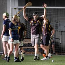 Image result for hurling